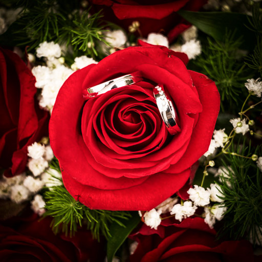 Rózsa és gyűrű - az esküvő legfontosabb pillanatai